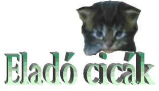 eladocicakvagott1jpg.jpg